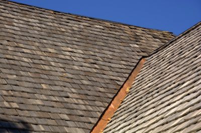 Shake Shingle Repair detail